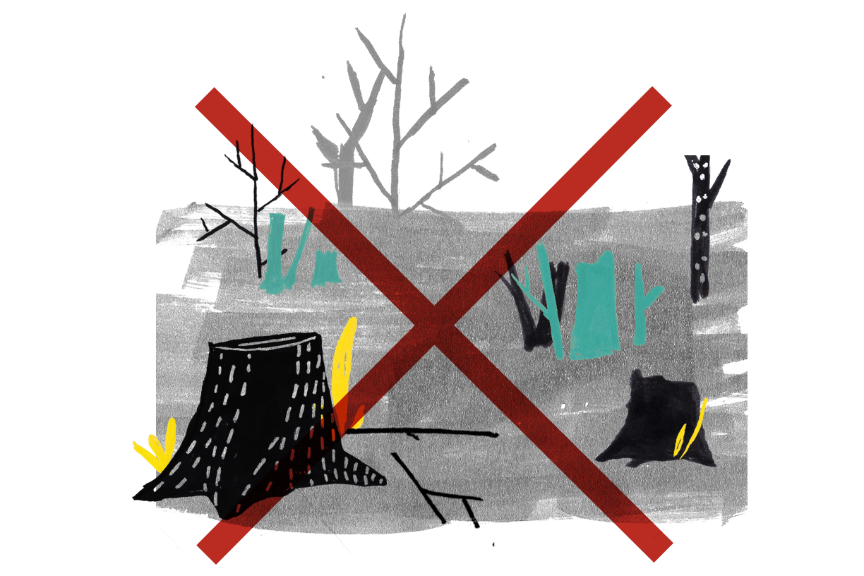 12_deforestacion_petrol