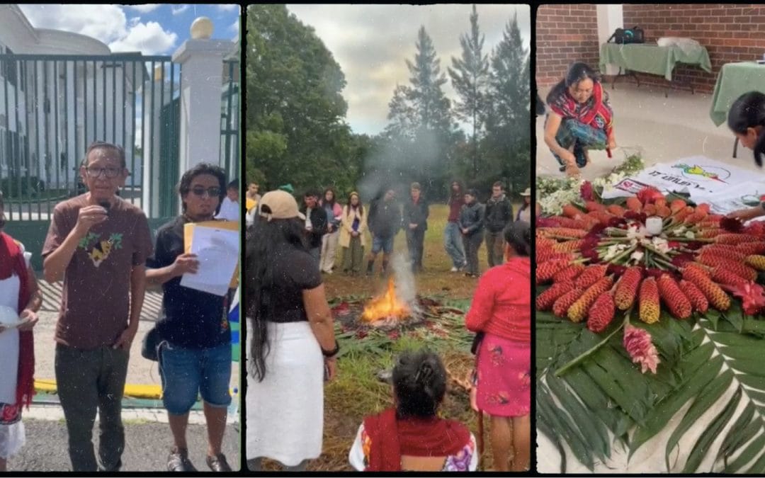 Maya-Aktivist*innen prangern Ökozid und Ethnozid durch den Maya-Zug an